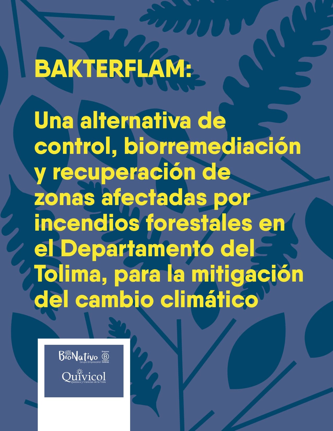 Bakterflam: una alternativa de control, biorremediación y recuperación de zonas afectadas por incendios forestales en el departamento del Tolima