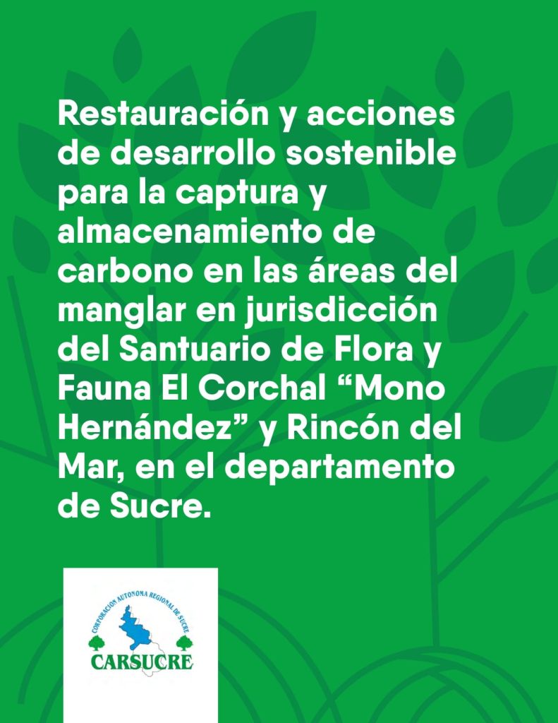 Proyecto Restauración y acciones de desarrollo sostenible para la captura y almacenamiento de carbono en las áreas del manglar en jurisdicción del Santuario de Flora