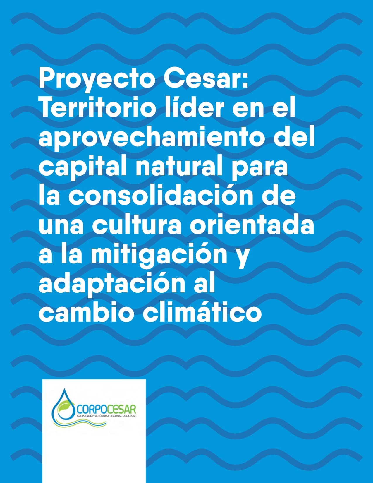 Proyecto Cesar: territorio líder en el aprovechamiento del capital natural para la consolidación de una cultura orientada a la mitigación y adaptación al cambio climático